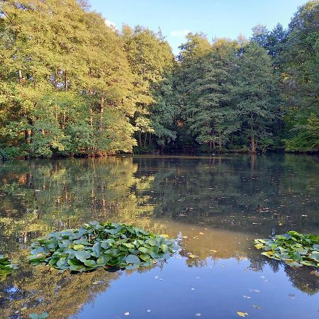 Ferienwohnung Am Waldsee Mit Schwimmbad Gernsbach Extérieur photo