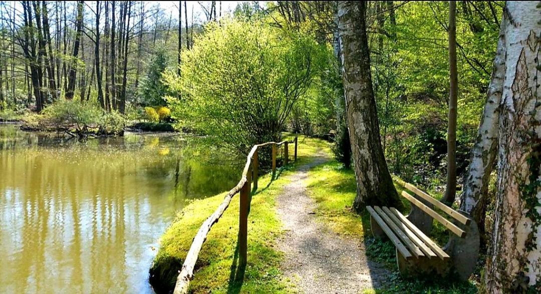 Ferienwohnung Am Waldsee Mit Schwimmbad Gernsbach Extérieur photo