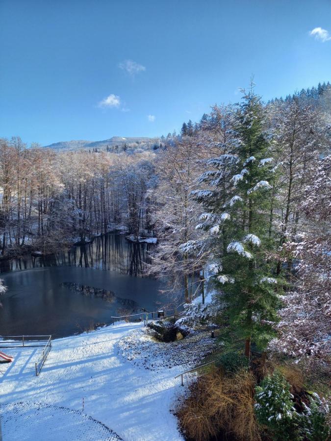 Ferienwohnung Am Waldsee Mit Schwimmbad Gernsbach Extérieur photo
